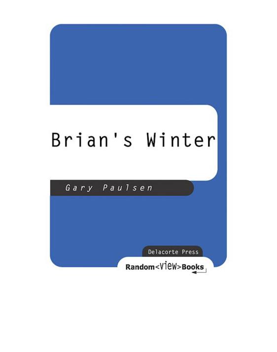 Brian's Winter