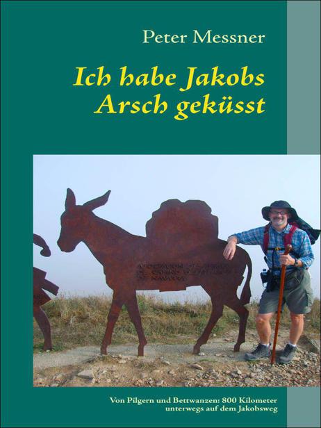 Ich habe Jakobs Arsch geküsst: Von Pilgern und Bettwanzen: 800 Kilometer unterwegs auf dem Jakobsweg