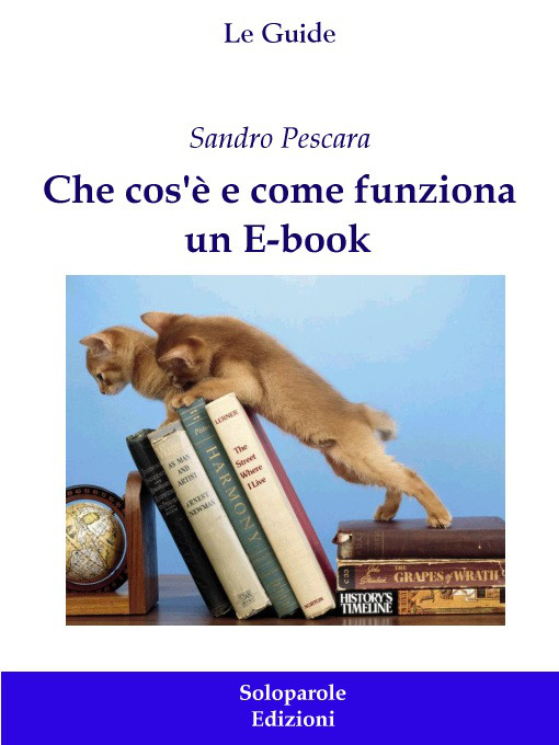 Che cos'è e come funziona un E-book