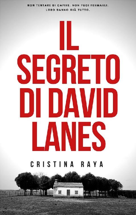 Il segreto di David Lanes: La Trilogia del segreto