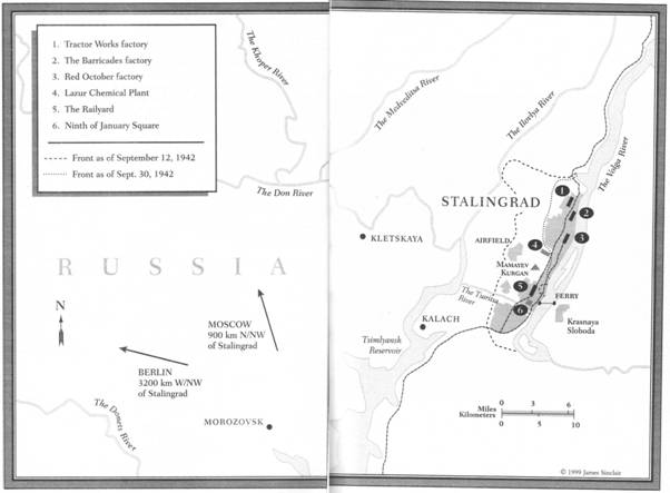 War of The Rats - A Novel of Stalingrad - [World War II 01]