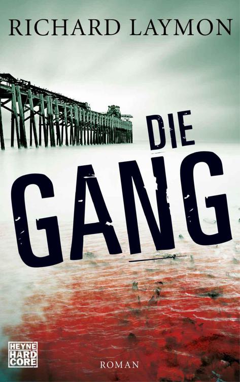 Die Gang: Roman