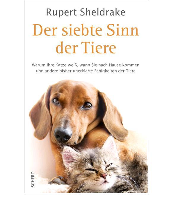 Der siebte Sinn der Tiere: Warum Ihre Katze weiß, wann Sie nach Hause kommen, und andere bisher unerklärte Fähigkeiten der Tiere