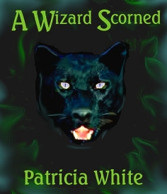 White, Patricia - A Wizard Scorned