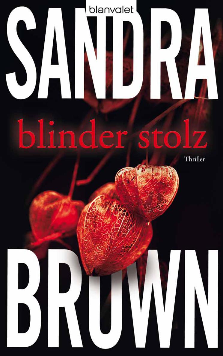 Blinder Stolz: Thriller