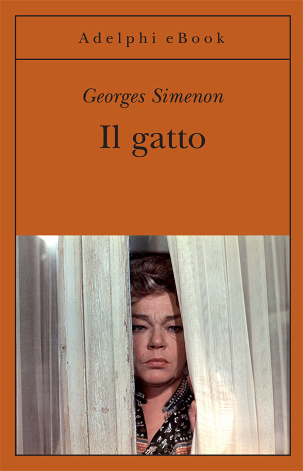 Il gatto