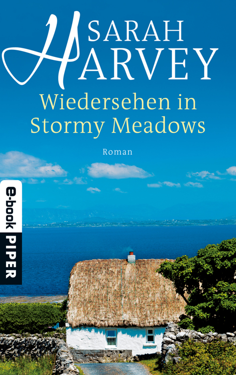 Wiedersehen in Stormy Meadows