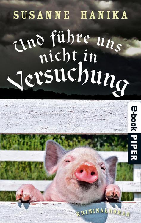 Und führe uns nicht in Versuchung: Kriminalroman