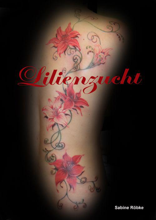 Lilienzucht