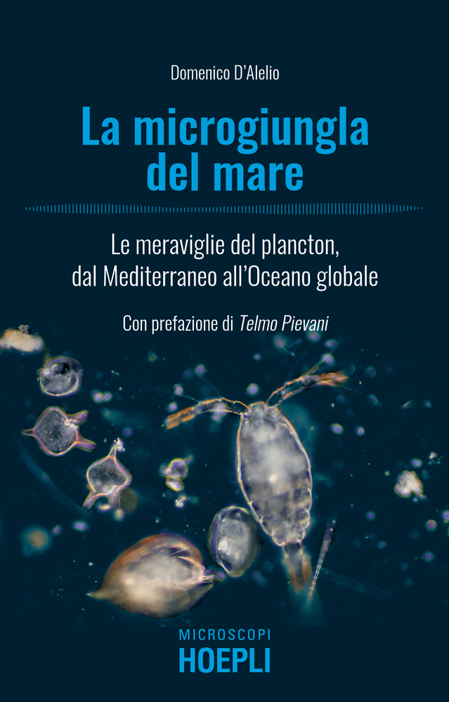 La microgiungla del mare