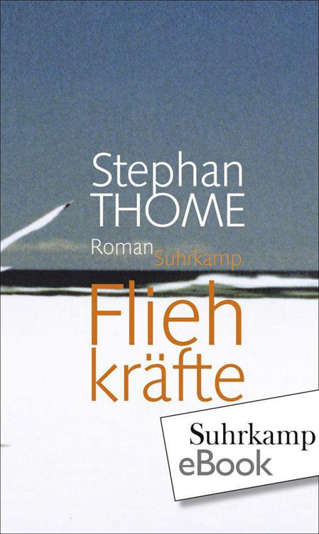 Fliehkräfte