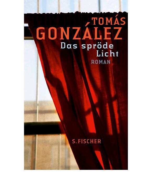 Das spröde Licht: Roman