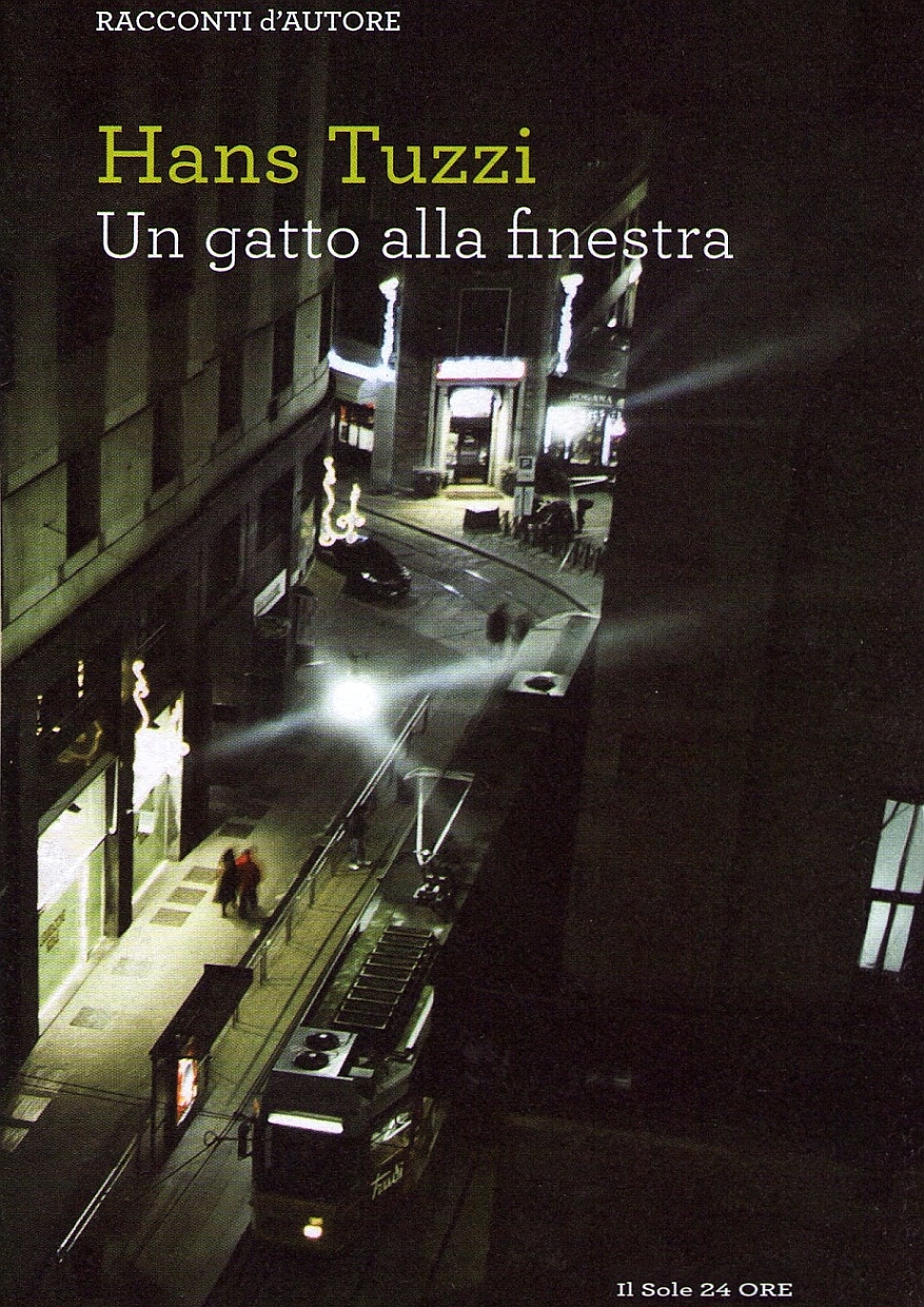 Un gatto alla finestra