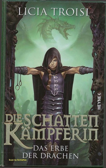 Die Schattenkämpferin 1 - Das Erbe der Drachen
