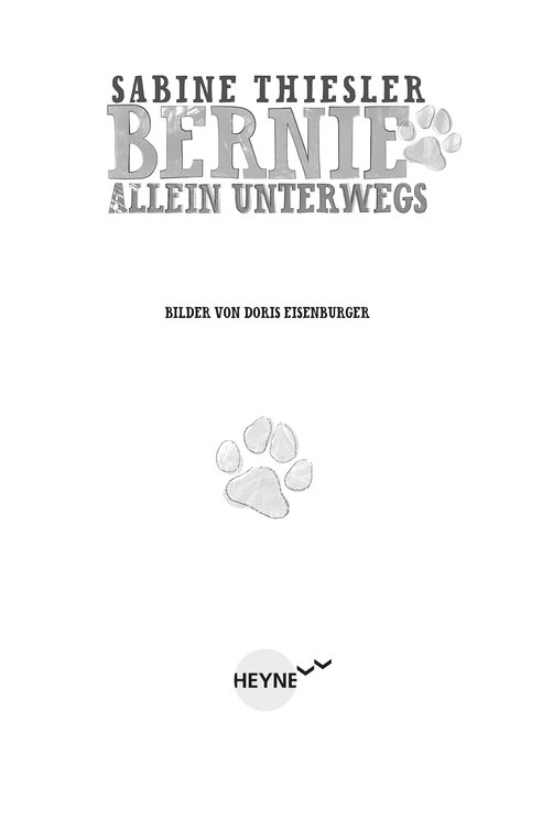 Bernie allein unterwegs