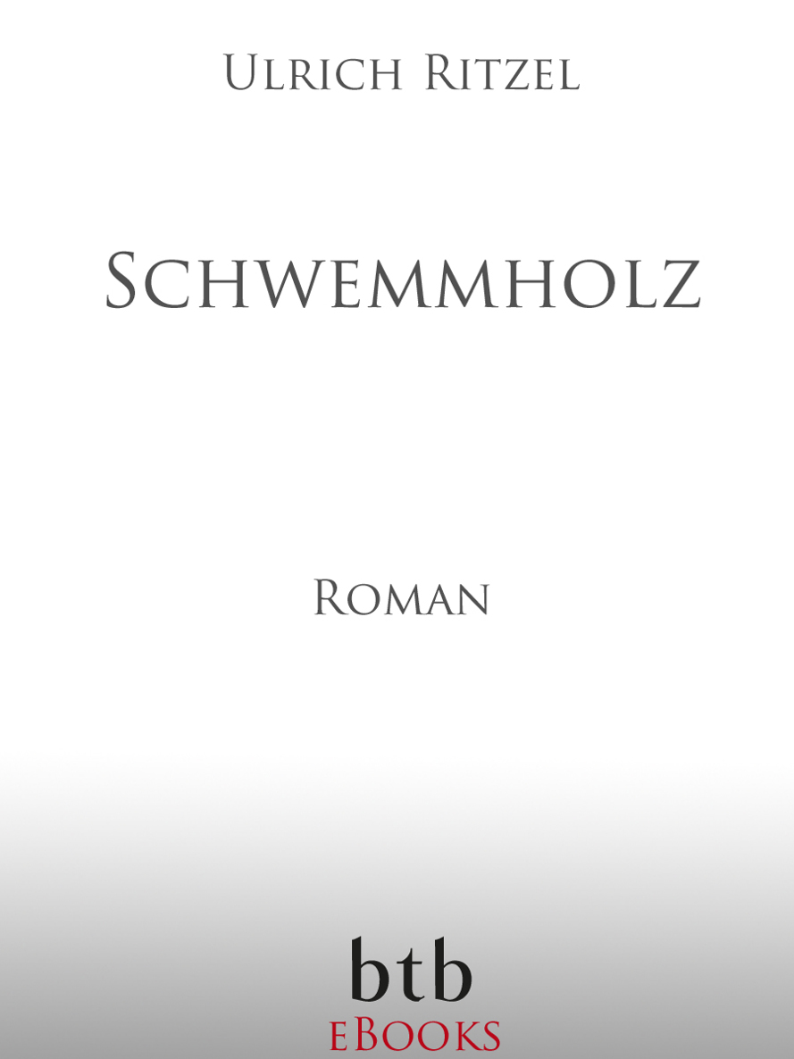 Schwemmholz