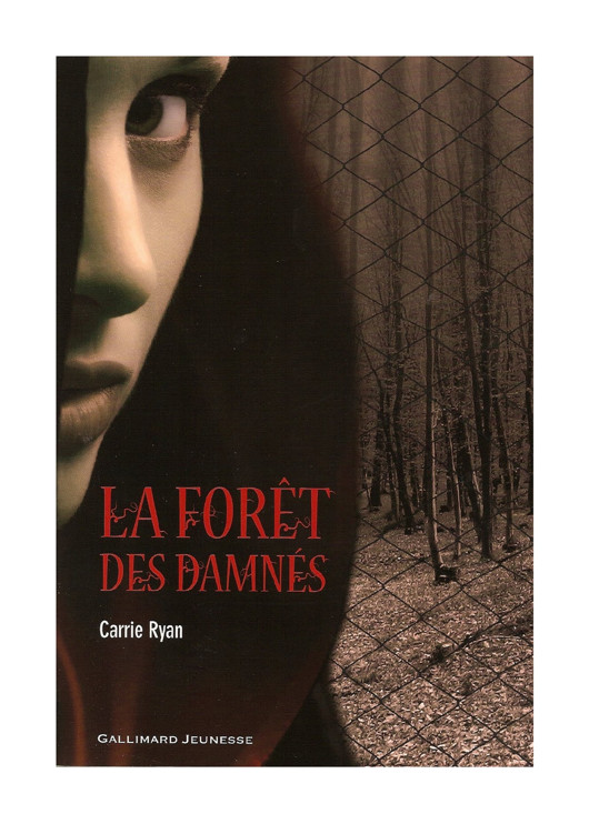 fore dam