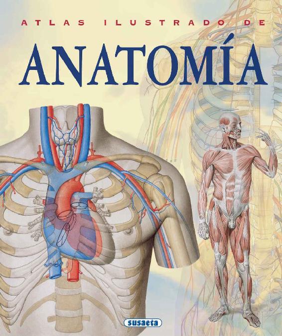 Atlas Ilustrado De Anatomia