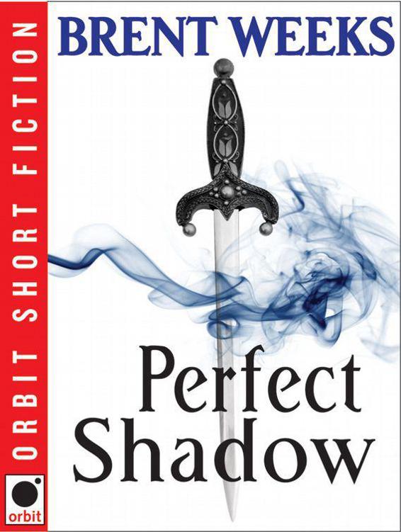 Night Angel #04 - Perfect Shadow