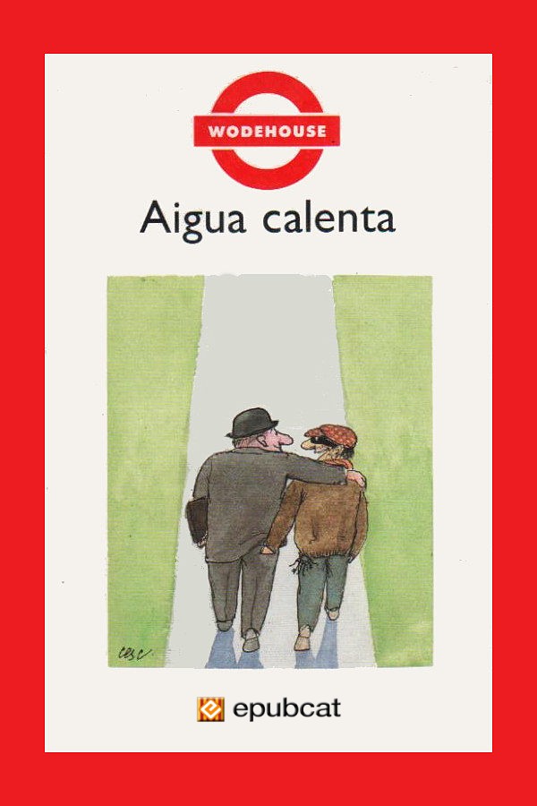 Aigua calenta