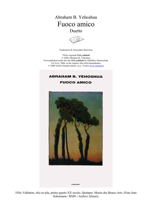 Fuoco Amico