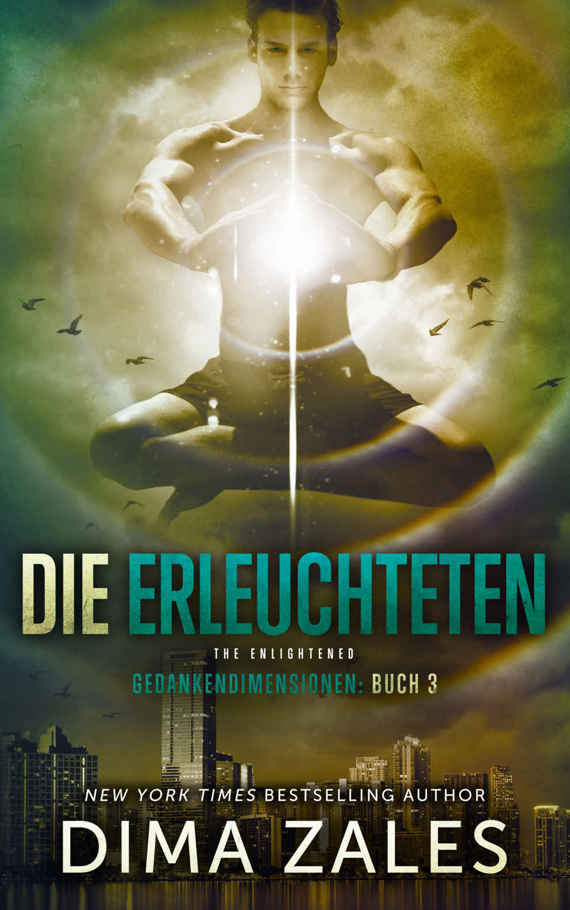 Die Erleuchteten - The Enlightened