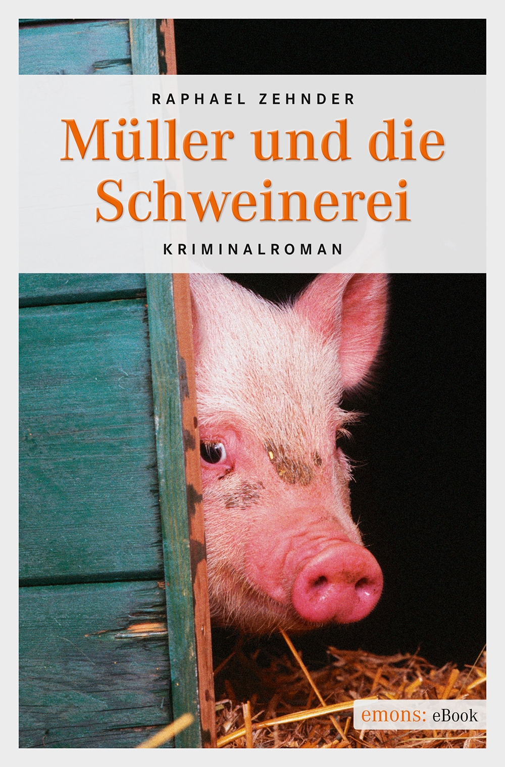 Mueller und die Schweinerei