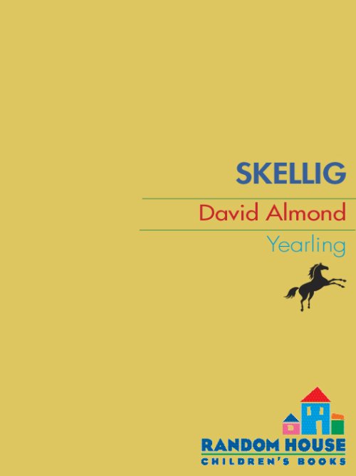 Skellig