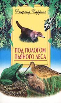 Под Пологом Пьяного Леса