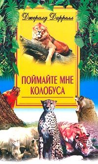 Поймайте Мне Колобуса