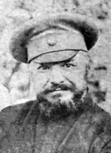 Над обрывом. Очерки и статьи последних лет жизни: 1917–1919