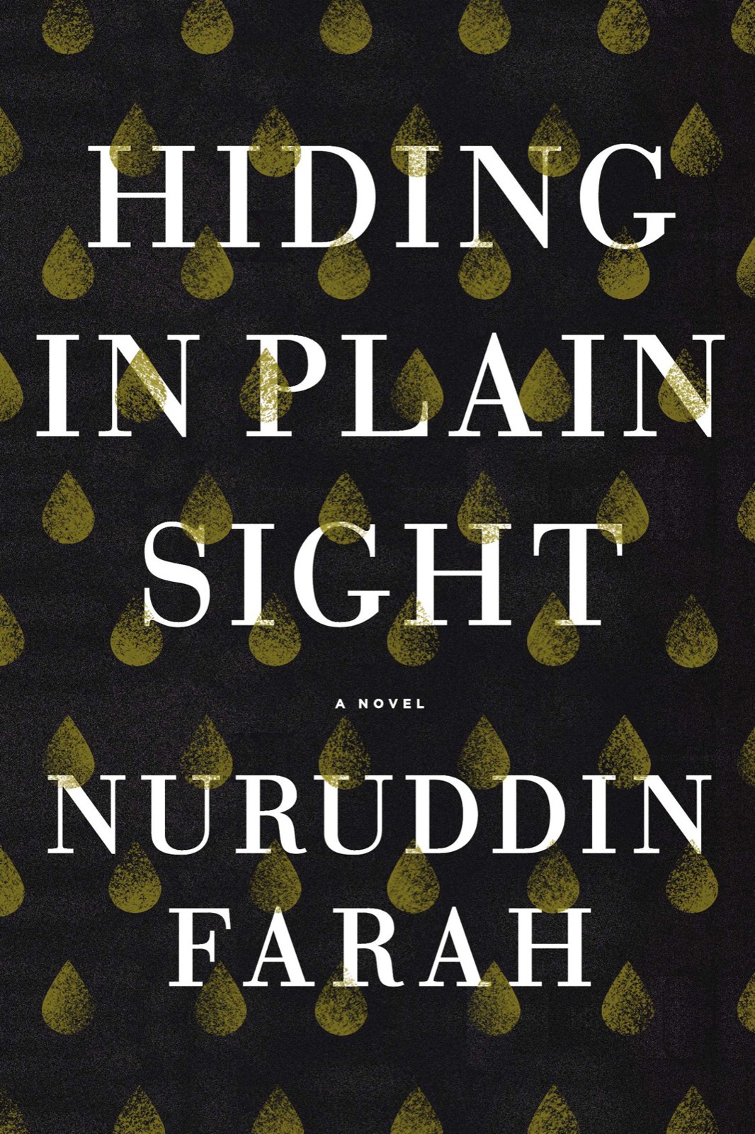 Hiding in Plain Sight