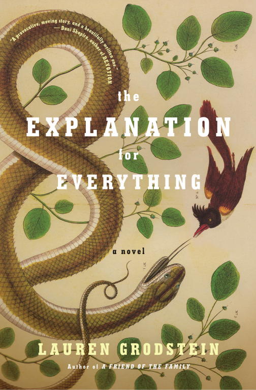 The Explanation for Everything