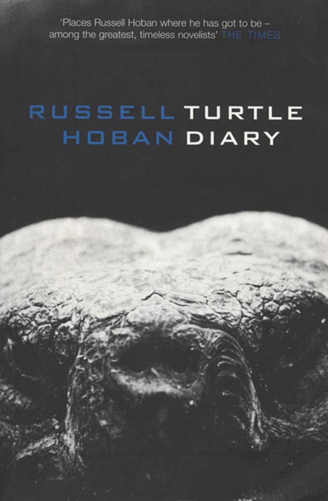 Turtle Diary