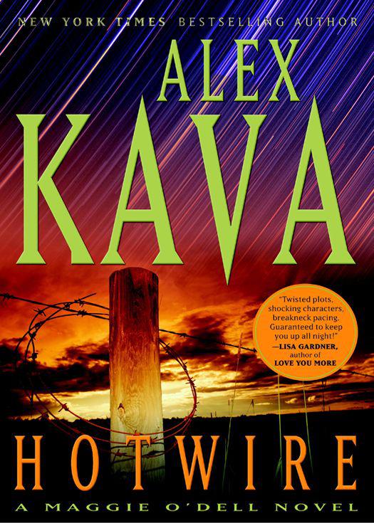Hotwire: A Maggie O'Dell Novel