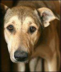 2012. Факты и мифы