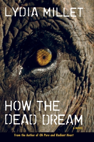 How the Dead Dream