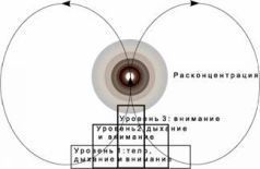 Йога